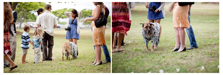 funny wedding guest photos Kualoa Beach Park