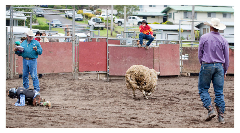 hawaii vacation photographer