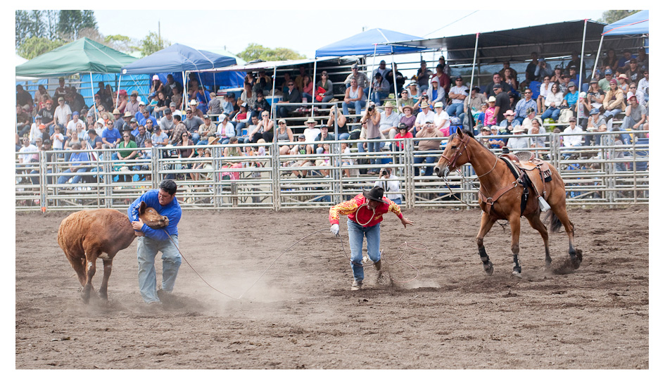 Big Island Trip (2 of 2) Honoka’a Rodeo » Keao's Photography, Hawaii