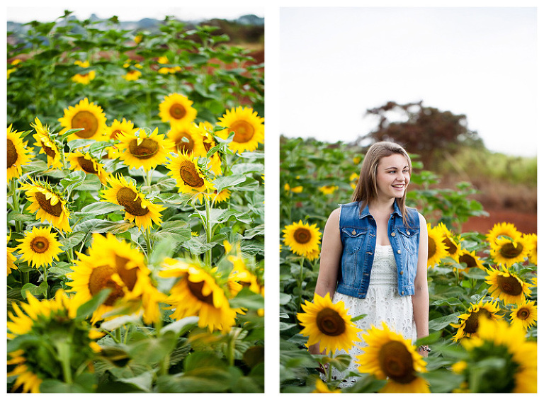 sunflower field senior photos by Hawaii Photographer