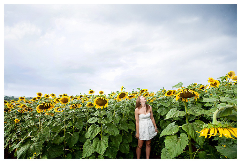 sunflower field senior photos by Hawaii Photographer