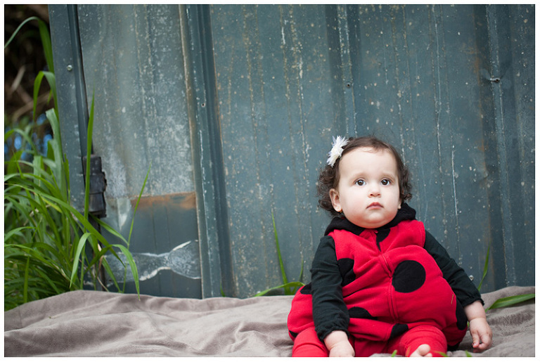 Ladybug theme birthday invitation photos