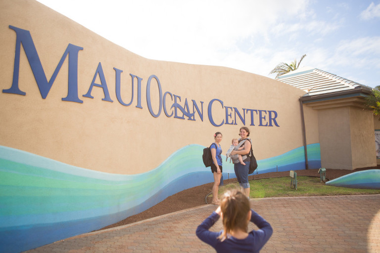 Maui Ocean Center, Things to do on Maui