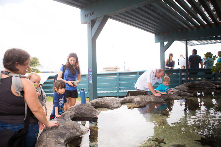 touch pool at the Maui Ocean Center