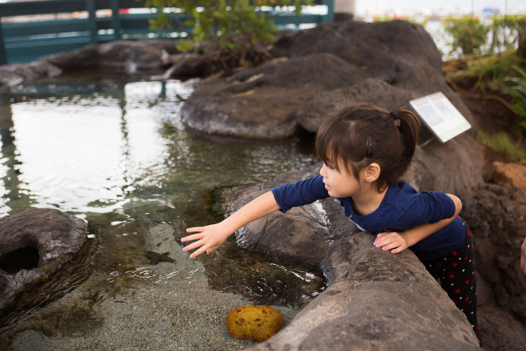 family fun at the touch pool of the Maui Ocean ceanter