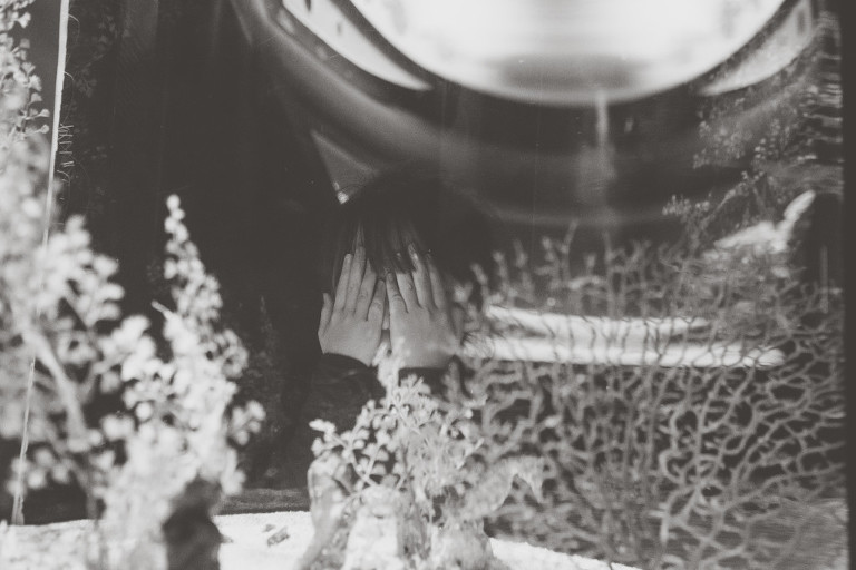 black and white sea horse display