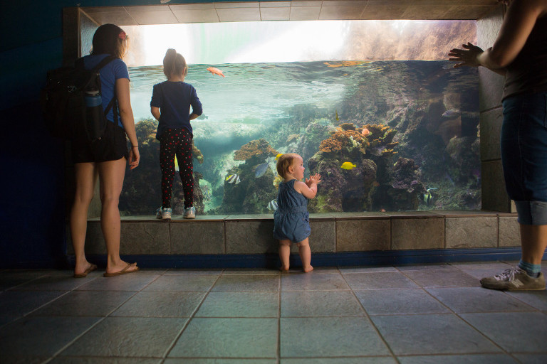 getting lost at Maui Ocean Center