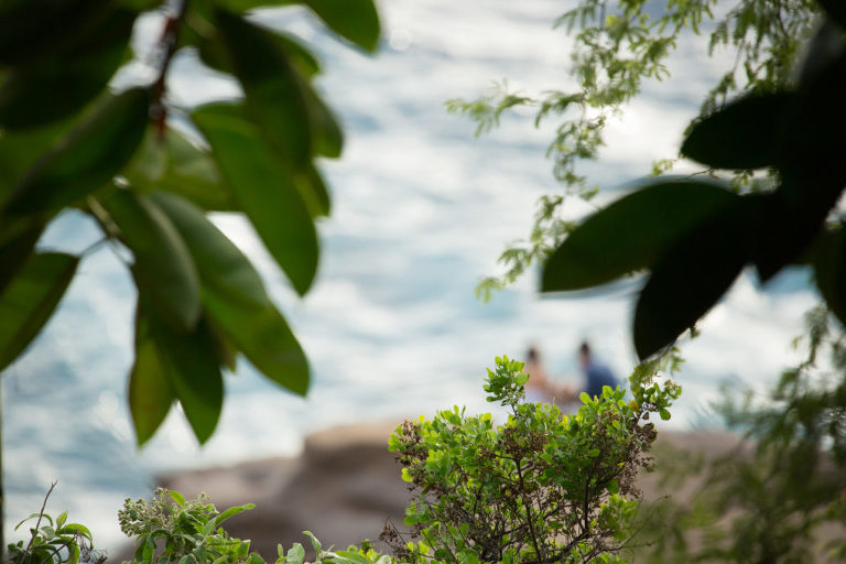 a surprise proposal and engagement by honolulu photographer